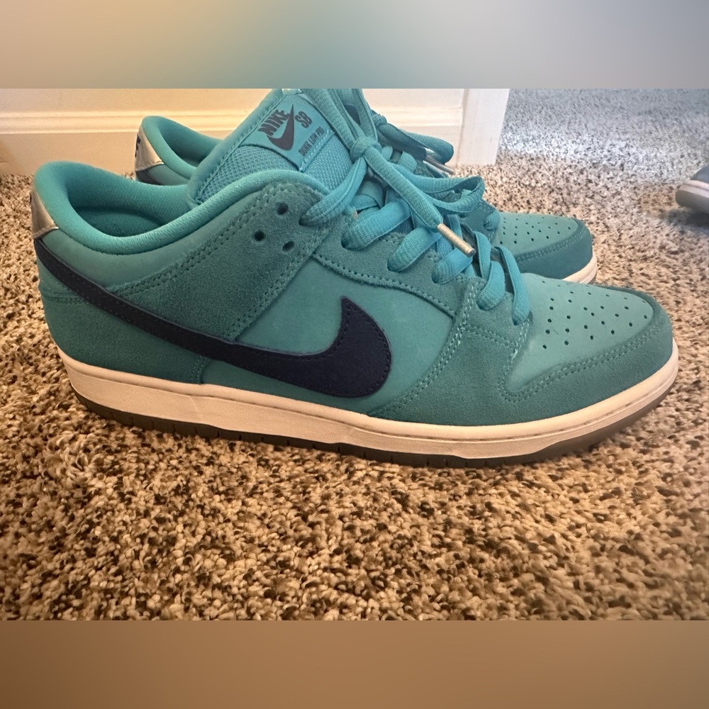 Nike SB Dunks, size 10, never been worn.